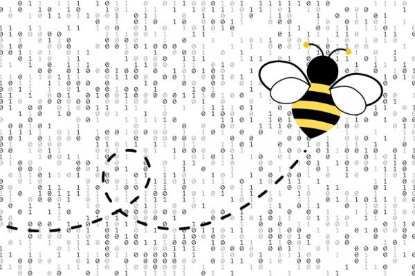Darknet как войти