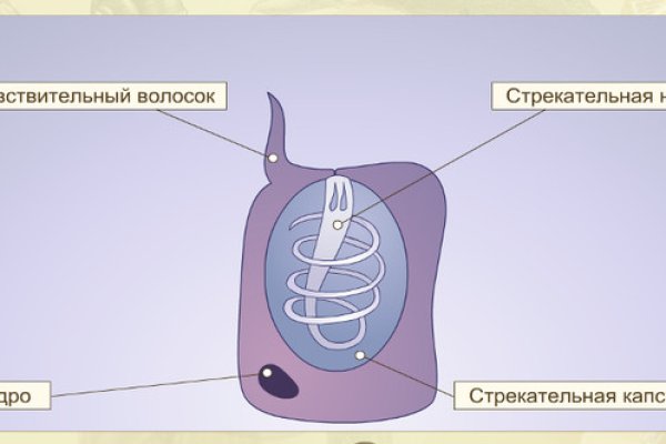 Кракен макет плейс
