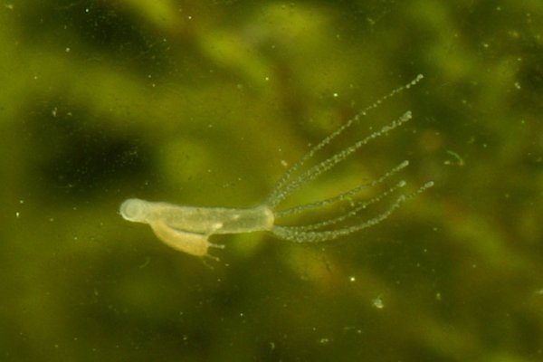 Kraken ссылка onion 2kmp