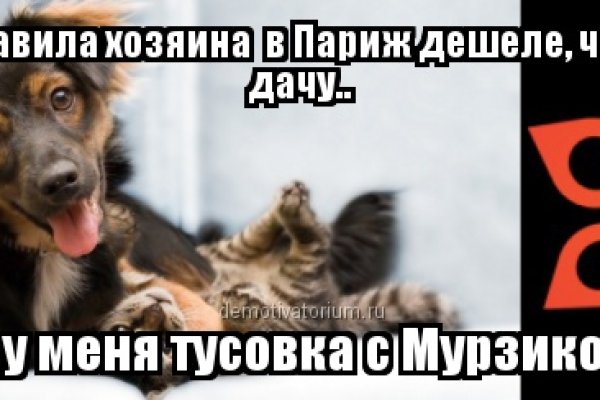 Как зайти на кракен браузеры