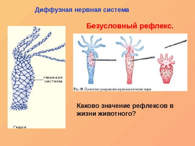 Кракен переходник ссылка