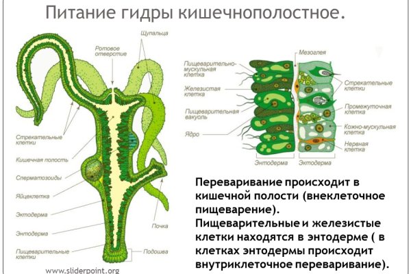 Кракен ссылка kra
