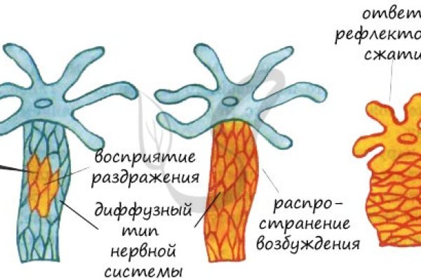 Kraken зеркало krakentor site
