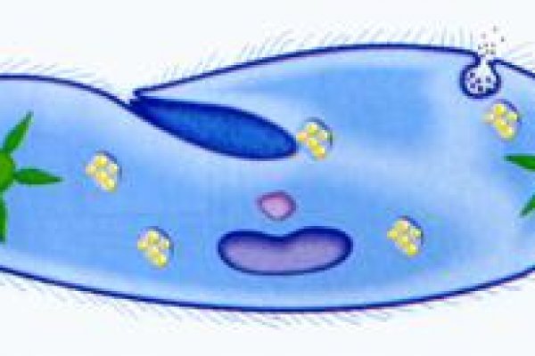 Kra37at