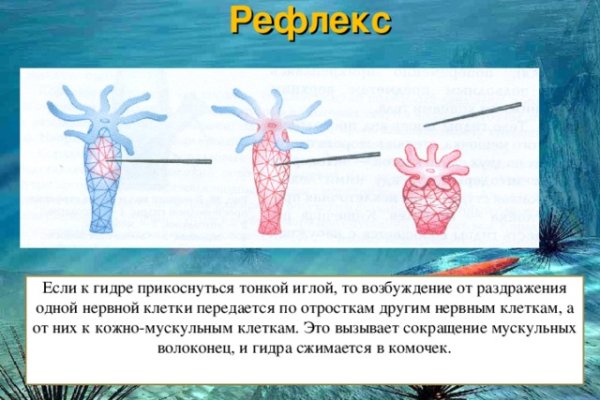 Сайт кракен магазин kraken2 tor2 xyz